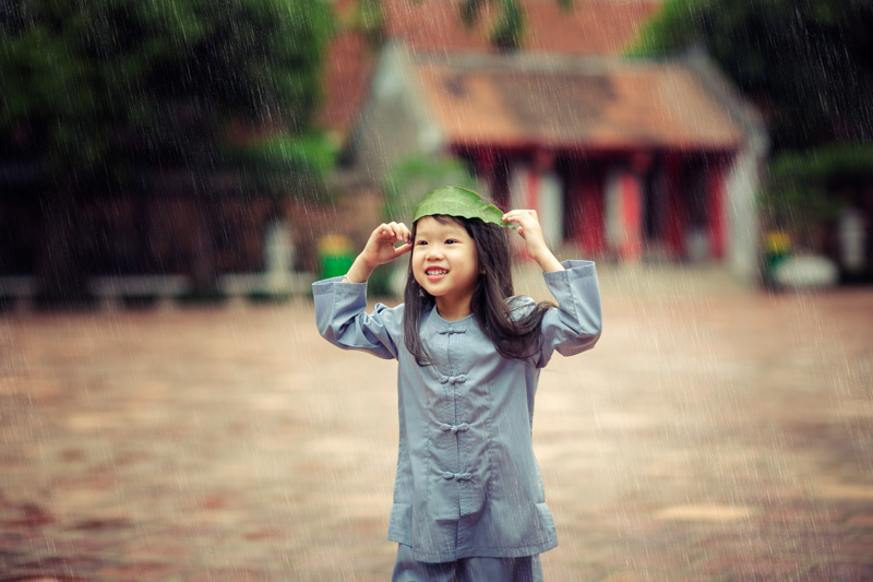 Mùa an cư năm đó...