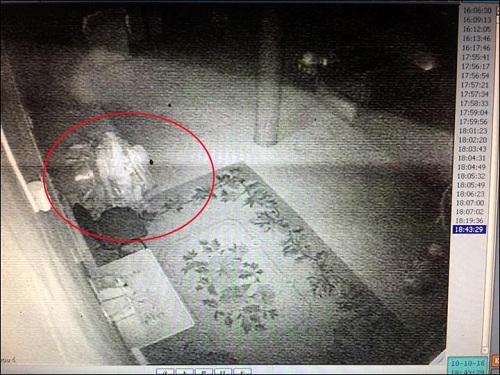 Nghi vấn nhục thân trăm tuổi của Lạt Ma Phật giáo hồi sinh và đi lại trong tự viện Siberia
